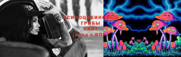 эйфоретик Аркадак