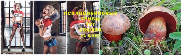 круглые Армянск