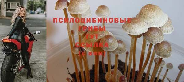 круглые Армянск