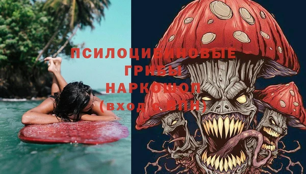 эйфоретик Аркадак