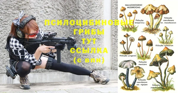 эйфоретик Аркадак