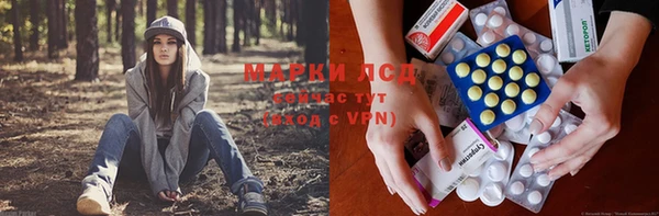 эйфоретик Аркадак