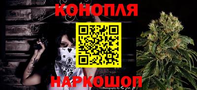 прущие крисы Аргун