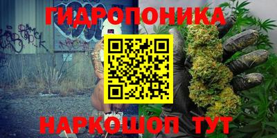 прущие крисы Аргун