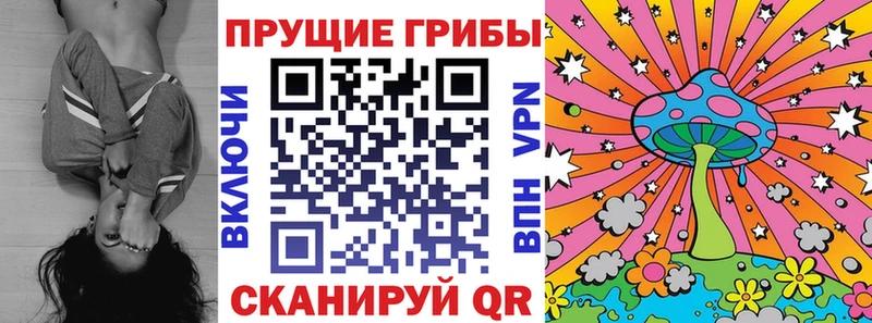 Галлюциногенные грибы Psilocybine cubensis  Асбест 