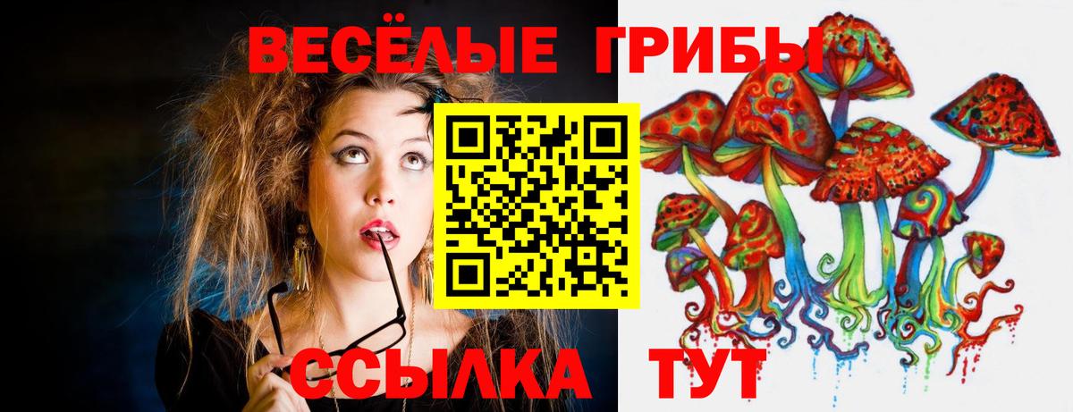 Псилоцибиновые грибы Psilocybe Асбест
