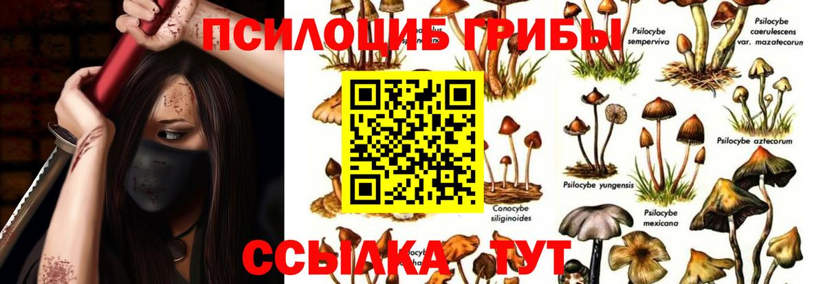 Асбест  Галлюциногенные грибы мицелий  наркошоп  Вход с VPN 